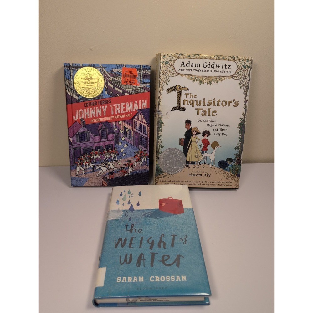 Young Adult Middle Grade Fiction 3 Book Lot Historical Verse Drama Novels
